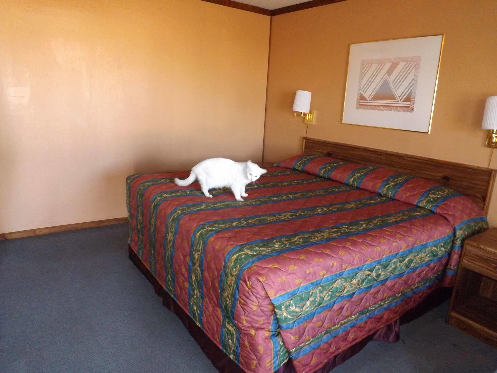 Tristar Inn Xpress Tucumcari Dış mekan fotoğraf